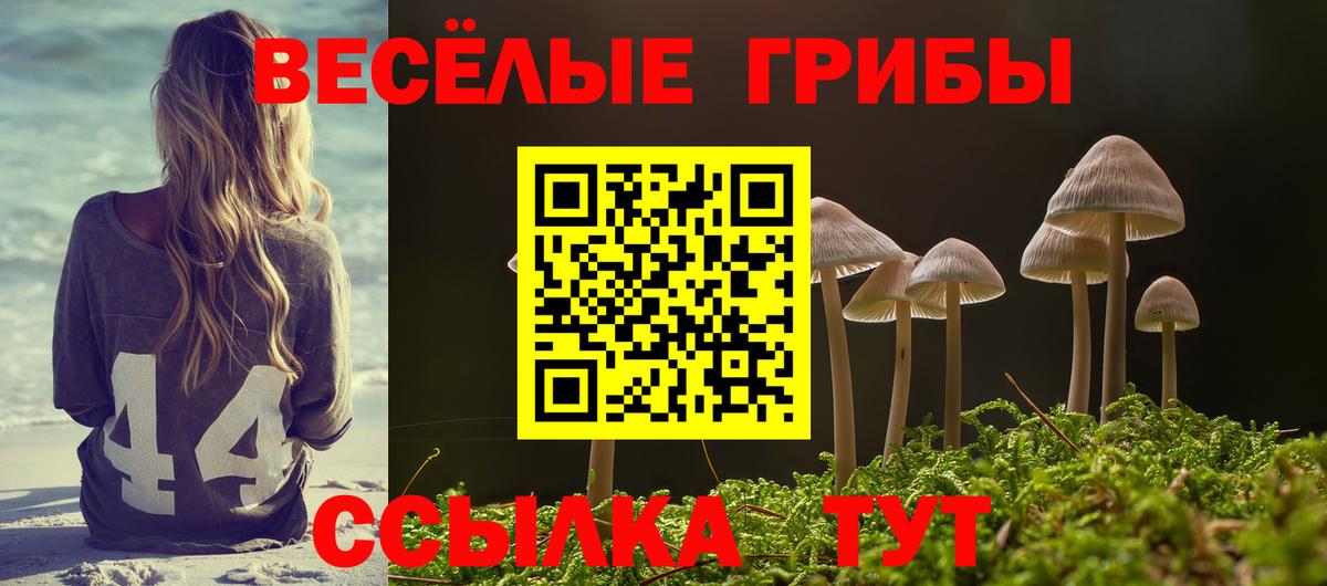 Псилоцибиновые грибы ЛСД  Вход с VPN  Берёзовский 